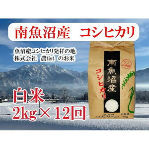 yӂ邳Ɣ[Łzyߘa7NYzy 싛YzRVqJ 2kg×12y2025N9{菇\z |    Hi lC  