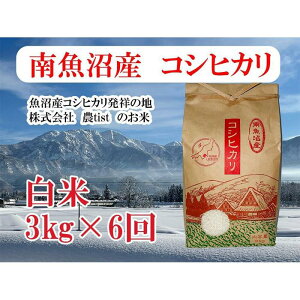 yӂ邳Ɣ[Łzyߘa7NYzy 싛YzRVqJ 3kg×6y2025N9{菇\z |    Hi lC  