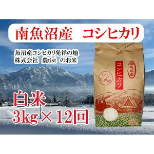 yӂ邳Ɣ[Łzyߘa7NYzy 싛YzRVqJ 3kg×12y2025N9{菇\z |    Hi lC  