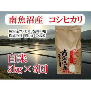 yӂ邳Ɣ[Łzyߘa7NYzy 싛YzRVqJ 5kg×6y2025N9{菇\z