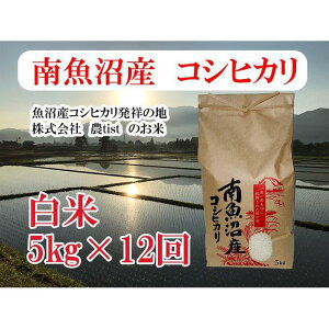 yӂ邳Ɣ[Łzyߘa7NYzy 싛YzRVqJ 5kg×12y2025N9{菇\z