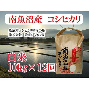 yӂ邳Ɣ[Łzyߘa7NYzy 싛YzRVqJ 10kg×12y2025N9{菇\z