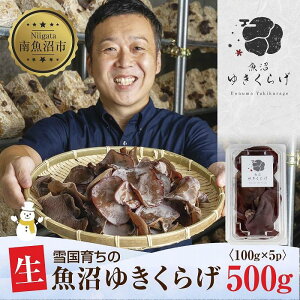 yӂ邳Ɣ[ŁzY  炰 100g×5pbN v500g  h{Lx _ Y I[KjbN ƍ͔| ፑ 䂫炰 LNQ ؎ ̂ LmR r^~D  N Hi H