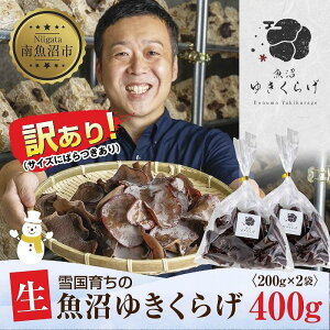 yӂ邳Ɣ[Łz󂠂 Y  炰 200g×2 v400g  KiO A h{Lx _ Y I[KjbN ƍ͔| ፑ 䂫炰 LNQ ؎ ̂ LmR r^~D 