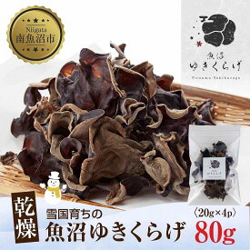 【ふるさと納税】国産 乾燥 きくらげ 20g×4パック 計80g 小分け 栄養豊富 無農薬 無添加 オーガニック 自家栽培 雪国 魚沼ゆきくらげ キクラゲ 木耳 きのこ キノコ ビタミンD 肉厚 健康 食品 食物繊維 佃煮 歯ごたえ 菌床 食感 高品質 送料無料 新潟県 南魚沼市