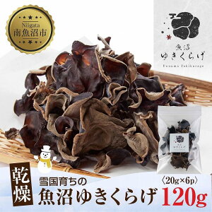 yӂ邳Ɣ[ŁzY  炰 20g×6pbN v120g  h{Lx _ Y I[KjbN ƍ͔| ፑ 䂫炰 LNQ ؎ ̂ LmR r^~D  N Hi 