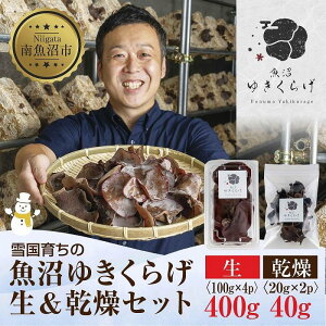 yӂ邳Ɣ[ŁzY  炰 100g×4pbN v400g  20g×2pbN v40g  h{Lx _ Y I[KjbN ƍ͔| ፑ 䂫炰 LNQ ؎ ̂ LmR r^~