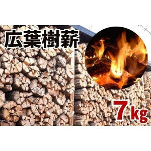 yӂ邳Ɣ[ŁzLtdyiENkMz40cm 7kg i  Lv | AEghAObY lC  