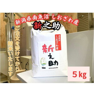 【ふるさと納税】新潟県南魚沼産 新之助 5kg 大粒でツヤがあるこれまでにないお米 | お米 こめ 白米 新之助 食品 人気 おすすめ 送料無料 魚沼 南魚沼 南魚沼市 新潟県産 新潟県 精米 産