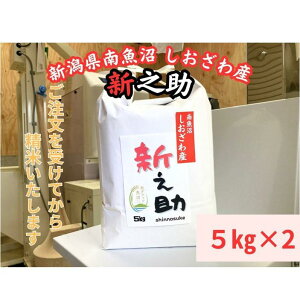 【ふるさと納税】新潟県南魚沼産 新之助 10kg 大粒でツヤがあるこれまでにないお米 | お米 こめ 白米 新之助 食品 人気 おすすめ 送料無料 魚沼 南魚沼 南魚沼市 新潟県産 新潟県 精米 産
