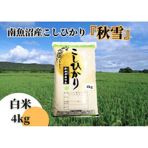 yӂ邳Ɣ[ŁzyNzyߘa7NY Vāz싛YЂuHv4kg V̓An싛s̔ |   Hi lC  