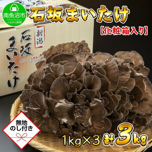 yӂ邳Ɣ[Łzyn̂z V 싛Y I Y ΍   ܂ Yn 1kg ×3 v3kg 蕨 Mtg  Ε ΍₫̂ |  ₳ Hi lC  