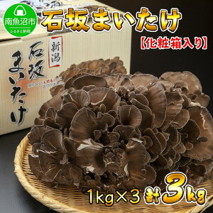 yӂ邳Ɣ[ŁzV 싛Y I Y ΍   Yn 1kg ×3 v3kg ΍₫̂ |  ₳ Hi lC  