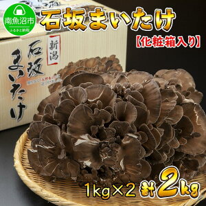 yӂ邳Ɣ[ŁzV 싛Y I Y ΍   ܂ Yn 1kg ×2 v2kg ΍₫̂ |  ₳ Hi lC  