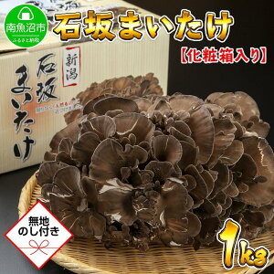 yӂ邳Ɣ[Łzyn̂z V 싛Y I Y ΍   ܂ Yn 1kg 蕨 Mtg  Ε ΍₫̂ |  ₳ Hi lC  