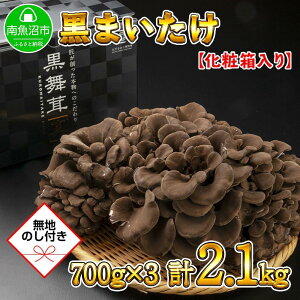 yӂ邳Ɣ[Łzyn̂z V 싛Y I Y    ܂ Yn 700g ×3 v2.1kg 蕨 Mtg  Ε 啽̂ |  ₳ Hi lC  