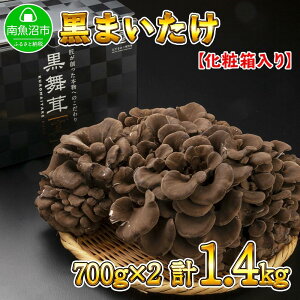 yӂ邳Ɣ[ŁzV 싛Y I Y    ܂ Yn 700g ×2 v1.4kg |  ₳ Hi lC  