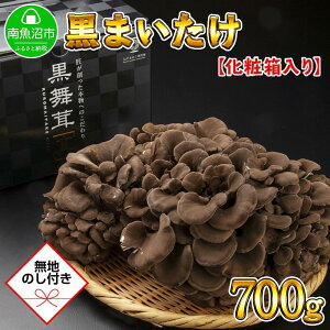 yӂ邳Ɣ[Łzyn̂z V 싛Y I Y  单   ܂ Yn 700g 蕨 Mtg  Ε 啽̂ |  ₳ Hi lC  