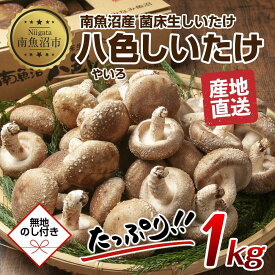 【ふるさと納税】【無地のし】 南魚沼産 八色 しいたけ 1kg シイタケ 椎茸 生しいたけ きのこ キノコ 肉厚 越季 新潟県 南魚沼市 | 野菜 やさい 食品 人気 おすすめ 送料無料