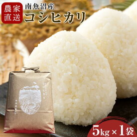 【ふるさと納税】【令和7年産】農家直送　南魚沼産コシヒカリ　5kg(5kg×1袋）【2026年3月上旬より順次発送予定】【銘柄米 ブランド米 精米 こしひかり コシヒカリ 魚沼産 新潟米 産地直送 お米 米 こめ コメ ご飯 御飯 ごはん】