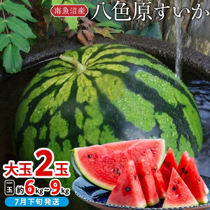 �y�ӂ邳�Ɣ[�Łz�y��s�\��z�y�V���� �싛���Y�z���F�����������2�ʁy2026�N7�����{�����z�y���͂������w��s�z | �t���[�c �ʕ� �������� �H�i �l�C �������� ��������