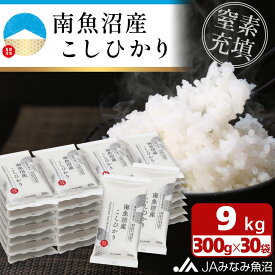 【ふるさと納税】【令和7年産】南魚沼産こしひかり「窒素充填2合パック×30袋入」美味しさ長持ち 300g 小袋 便利 精米HACCP認定工場 特A獲得日本一産地 高品質精米 もっちり甘い 南魚沼産コシヒカリ | お米 こめ 食品 人気 南魚沼