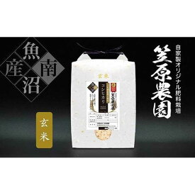 【ふるさと納税】【令和7年産】南魚沼産 笠原農園米 十年間農薬不使用コシヒカリ玄米 2kg | お米 こめ 食品 コシヒカリ 人気 おすすめ 送料無料 魚沼 南魚沼 南魚沼市 新潟県 玄米 産直 産地直送 お取り寄せ