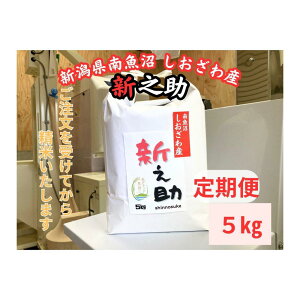 �y�ӂ邳�Ɣ[�Łz�y����ցz�V�����싛���Y�@�V�V���@5kg×6�����@�嗱�Ńc�������邱��܂łɂȂ����� | ���� ���� ���� �H�i �l�C �������� ��������