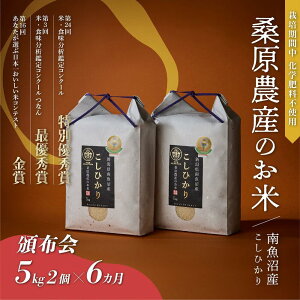 �y�ӂ邳�Ɣ[�Łz�yR7�N�Y�z�� ����� �R�V�q�J�� �싛���Y 60kg ( 10kg × 6���� ) �K���_�Y | ���� ���� ���� �R�V�q�J�� �H�i �l�C �������� �������� ���� �싛�� �싛���s �V�����Y �V���� ��