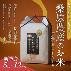 yӂ邳Ɣ[ŁzyR7NYVė\z  RVqJ 싛Y 60kg ( 5kg × 12) K_Yy2025N9{菇\z |    RVqJ Hi lC   