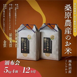 yӂ邳Ɣ[ŁzyR7NYVė\z  RVqJ 싛Y 240kg ( 20kg ×12) K_Yy2025N9{菇\z |    RVqJ Hi lC  