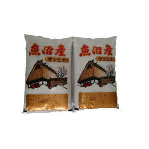 yӂ邳Ɣ[Łzyߘa7NVāzYRVqJ20kg |    Hi lC  