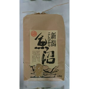 yӂ邳Ɣ[Łzyߘa7NVāzYRVqJ10kg |    Hi lC  