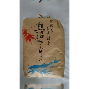 yӂ邳Ɣ[Łzyߘa7NVāzYRVqJ20kg |    Hi lC  