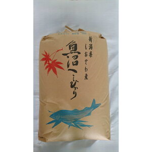 yӂ邳Ɣ[Łzyߘa7NVāzYRVqJ30kg |    Hi lC  