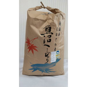 yӂ邳Ɣ[Łzyߘa7NVāzVFؓʍ͔|ċYRVqJ30kg |    Hi lC  