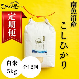 【ふるさと納税】【定期便】（全12ヶ月）もっちり甘い！南魚沼産コシヒカリ 白米5kg ひらくの里ファーム | お米 こめ 白米 コシヒカリ 食品 人気 おすすめ 送料無料 魚沼 南魚沼 南魚沼市 新潟県産 新潟県 精米 産直