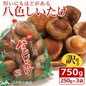 【ふるさと納税】【家庭用】厚いにもほどがある「八色しいたけ」750g（250g×3袋）訳あり 不ぞろい 農家応援 | 食品 加工食品 訳あり 不揃い 家庭用 自宅用 人気 おすすめ 送料無料