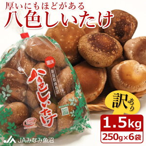 yӂ邳Ɣ[ŁzyƒpzɂقǂuFv1.5kgi250g×6܁j󂠂 s낢 _Ɖ | Hi HHi 󂠂 s ƒp p lC  