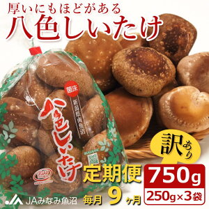 yӂ邳Ɣ[ŁzyJA݂Ȃ݋ցzƒpuFvi750g×S9j 󂠂 s낢 _Ɖ ɂقǂ | Hi HHi 󂠂 s ƒp p lC  