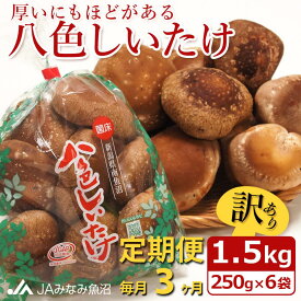 【ふるさと納税】【JAみなみ魚沼定期便】家庭用「八色しいたけ」（1.5kg×全3回） ≪訳あり 不ぞろい 農家応援 厚いにもほどがある 定期便しいたけ 南魚沼 厚い 家庭用 農家応援 きのこ 食材 グルメ 料理 家庭料理 新潟県 特産品 国産 野菜 冬季 食材≫