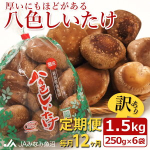 yӂ邳Ɣ[ŁzyJA݂Ȃ݋ցzƒpuFvi1.5kg×S12j 󂠂 s낢 _Ɖ ɂقǂ | Hi HHi 󂠂 s ƒp p lC 