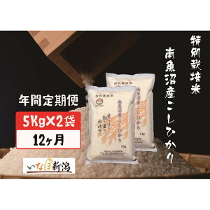 yӂ邳Ɣ[Łzyߘa7NYzyzz싛YRVqJʍ͔|  10kg S12y2025N10{菇\z |    Hi lC  