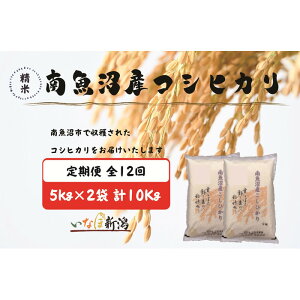 yӂ邳Ɣ[Łzyߘa7NYzyzz싛YRVqJ  5kg×2(10kg) S12y2025N10{菇\z |    Hi lC  