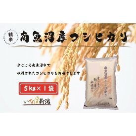 【ふるさと納税】【令和7年度産新米予約】南魚沼産コシヒカリ 白米 5kg【2025年10月上旬より順次発送予定】 | お米 こめ 白米 食品 人気 おすすめ 送料無料