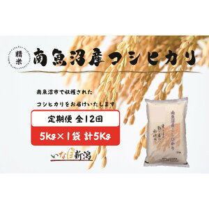 yӂ邳Ɣ[Łzyߘa7NYzyzz싛YRVqJ  5kg S12y2025N10{菇\z |    Hi lC  