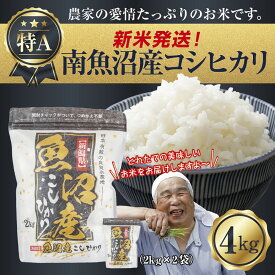 【ふるさと納税】【新米発送】 令和7年産 新潟県 南魚沼産 コシヒカリ お米 2kg×2袋 計 4kg 精米済み（お米の美味しい炊き方ガイド付き） お米 こめ 白米 新米 こしひかり 食品 人気 おすすめ 送料無料 魚沼 南魚沼 南魚沼市 新潟県産【2025年10月上旬より順次発送予定】