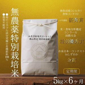 �y�ӂ邳�Ɣ[�Łz�y����֗ߘa7�N�Y�V�āz�싛���H���R���N�[��4�N�A���D�G�܁@���_����ʍ͔|��5kg×6��@�싛������Y�R�V�q�J�� | ���� ���� ���� �H�i �l�C �������� �������� �싛��