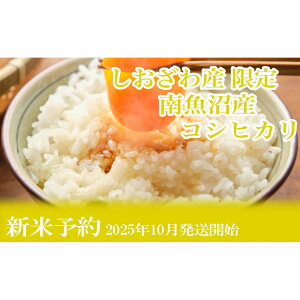 yӂ邳Ɣ[ŁzyVė\Eߘa7NYz3F2kgY 싛YRVqJy2025N10{菇\z |    RVqJ Hi lC  