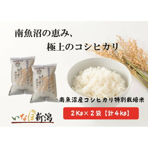 yӂ邳Ɣ[Łzyߘa7NYVė\z싛YRVqJʍ͔|  2kg×2 v4kgy2025N10{菇\z |    Hi lC  